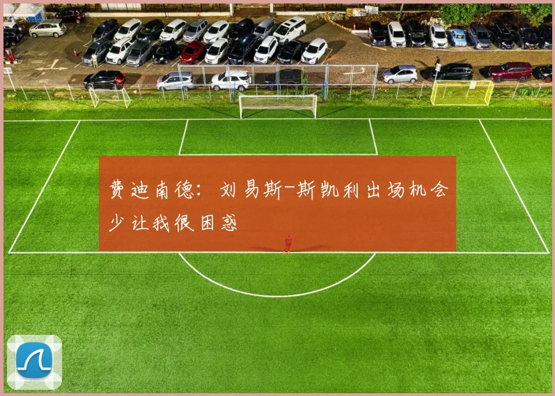 费迪南德：刘易斯-斯凯利出场机会少让我很困惑